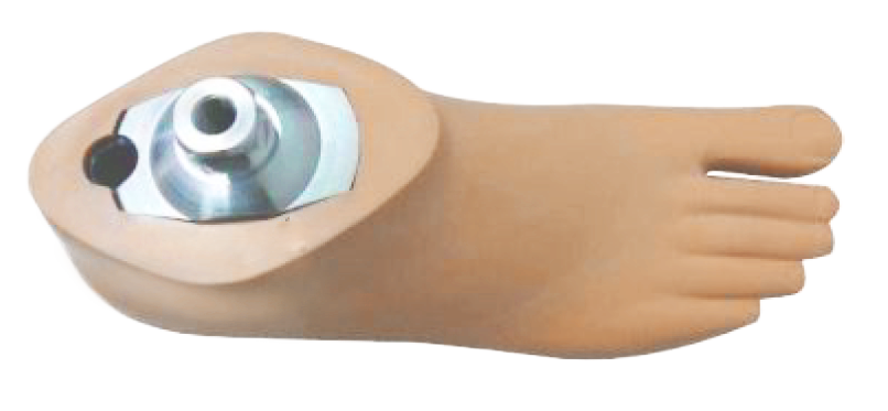 картинка СТОПА ТИПА SACH 1FES от магазина Одежда+