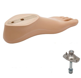 картинка СТОПА ТИПА SACH PM – FSS  от магазина Одежда+